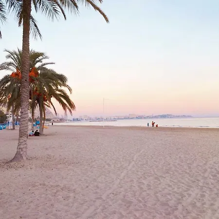 Tarifa 4 阿利坎特